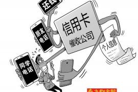 肃北肃北讨债公司服务